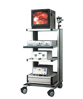 鼻內窺鏡檢查鼻甲肥大