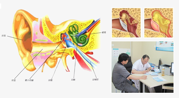耳部結構與檢查診斷