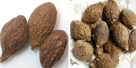 腺樣體肥大的食療偏方