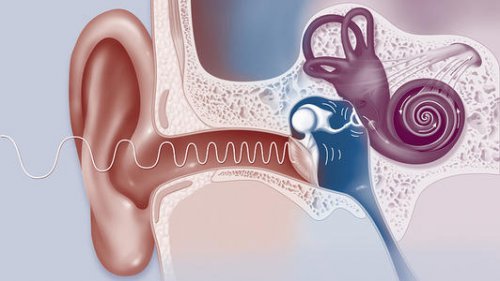 成都人工耳蝸首選醫院_人工耳蝸植